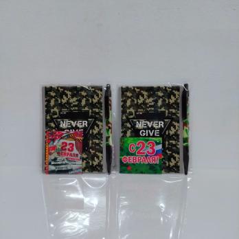 Блокнот  + ручка + магнит  д/мальчиков