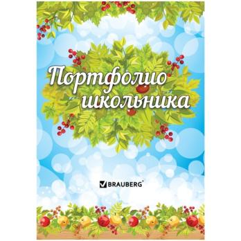 Портфолио  листы  Ученика / набор  16 листов/  126896
