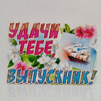 Плакат   Выпускник удачи