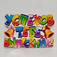 Плакат   Выпускник успехов