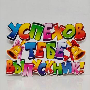 Плакат   Выпускник успехов