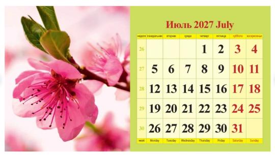 Календарь ДОМИК  2027  20 см Большой