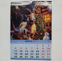 Календарь  настенный  РИГЕЛЬ  24*34  2027