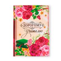 Ежедневник  УЧИТЕЛЯ  А-5   Ламинирован.