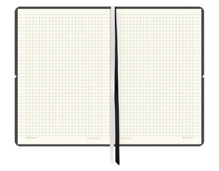 Блокнот 396,00  кож. А 5  клетка, резинка  125240